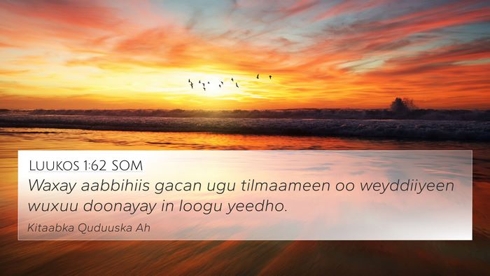 Luukos 1:62 SOM Bible Verse Image