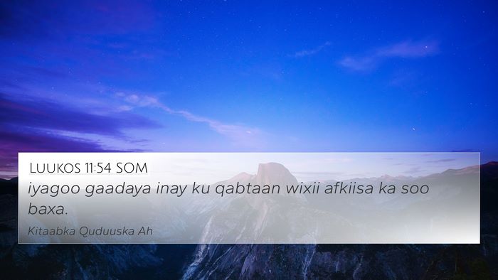 Luukos 11:54 SOM Bible Verse Image
