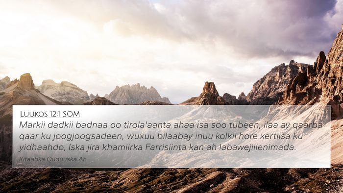 Luukos 12:1 SOM Bible Verse Image