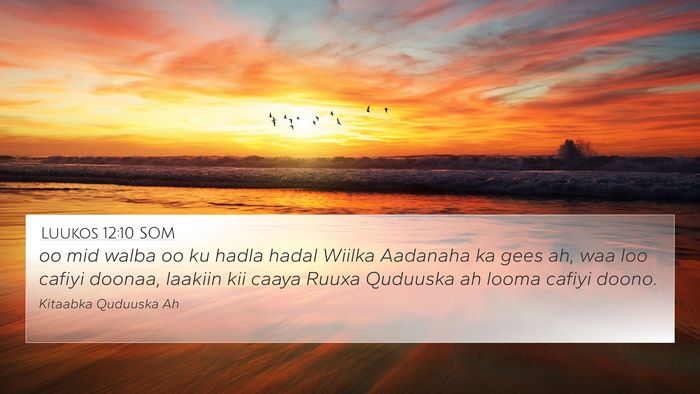 Luukos 12:10 SOM Bible Verse Image