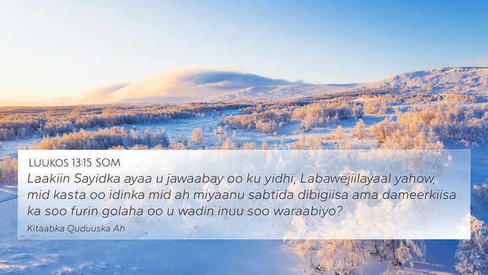 Luukos 13:15 SOM Bible Verse Image
