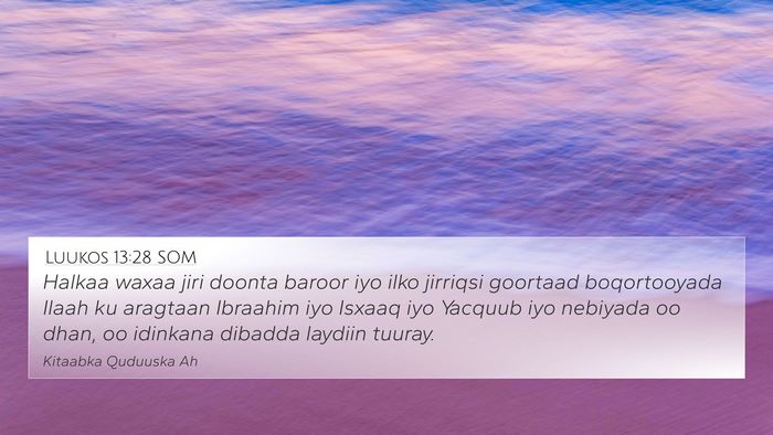 Luukos 13:28 SOM Bible Verse Image