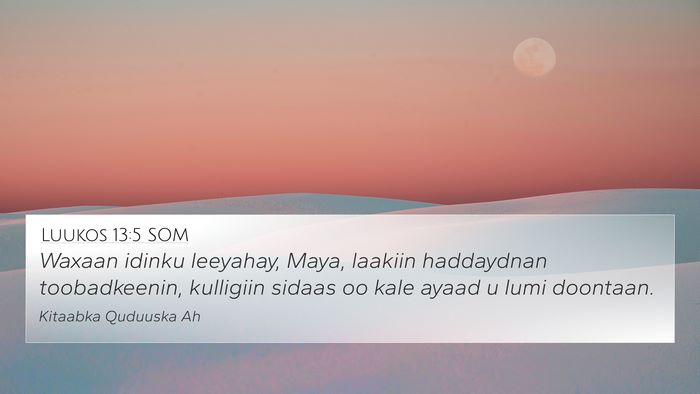 Luukos 13:5 SOM Bible Verse Image