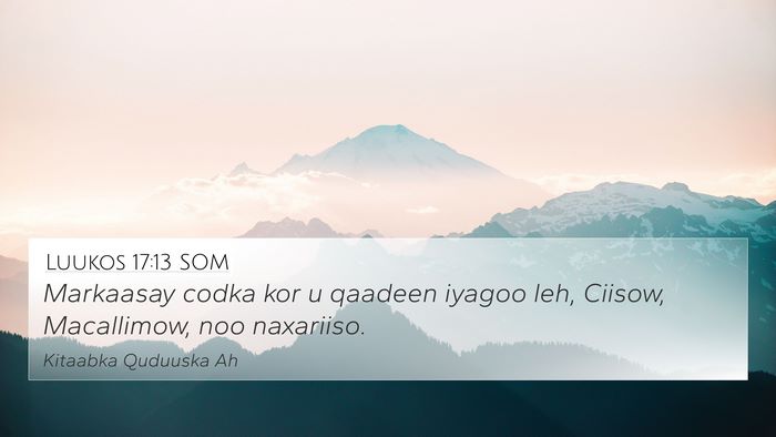 Luukos 17:13 SOM Bible Verse Image