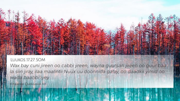 Luukos 17:27 SOM Bible Verse Image