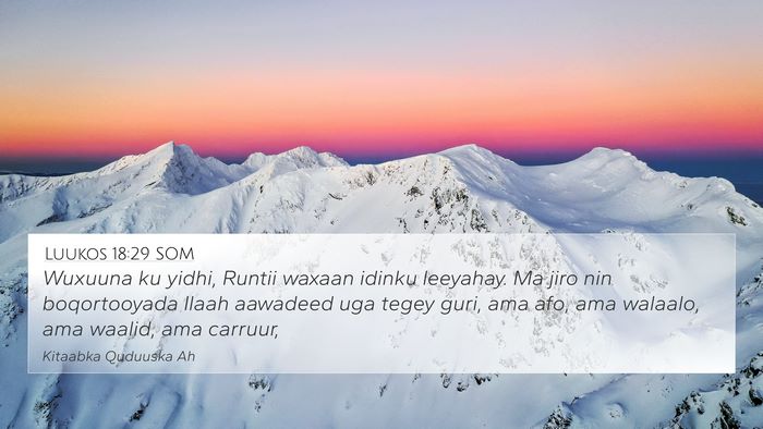 Luukos 18:29 SOM Bible Verse Image