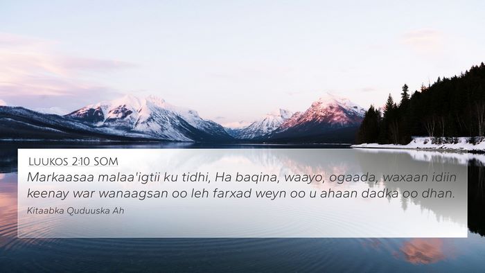 Luukos 2:10 SOM Bible Verse Image