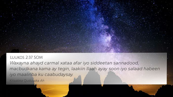Luukos 2:37 SOM Bible Verse Image