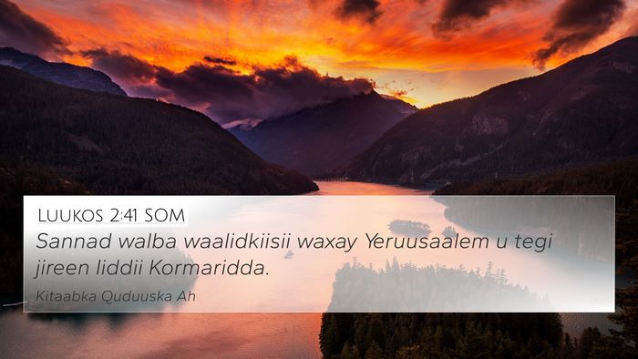 Luukos 2:41 SOM Bible Verse Image