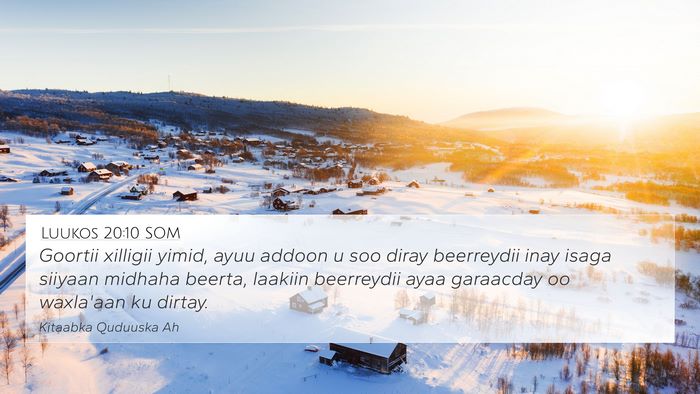 Luukos 20:10 SOM Bible Verse Image