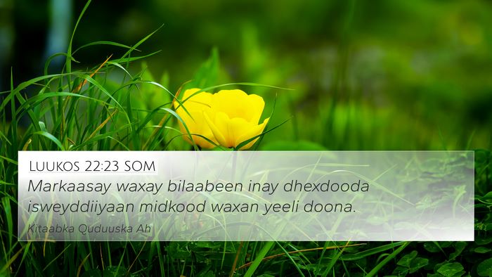 Luukos 22:23 SOM Bible Verse Image