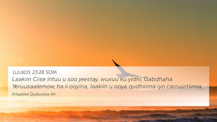 Luukos 23:28 SOM Bible Verse Image