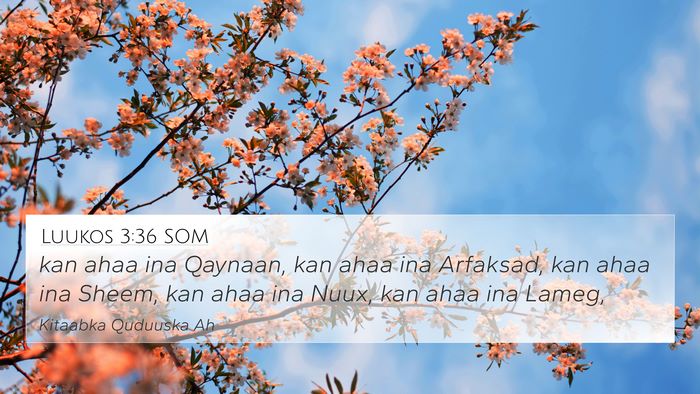 Luukos 3:36 SOM Bible Verse Image