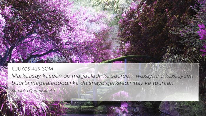 Luukos 4:29 SOM Bible Verse Image