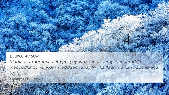 Luukos 4:9 SOM Bible Verse Image