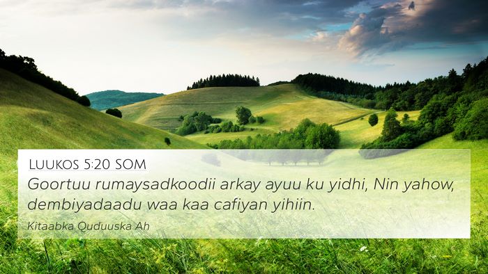Luukos 5:20 SOM 4K Wallpaper - Goortuu rumaysadkoodii arkay ayuu ku yidhi, Nin - 4K Wallpaper Bible Verse