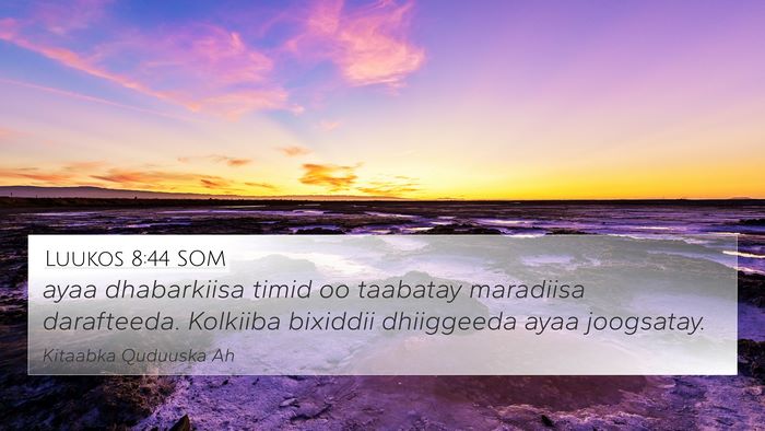 Luukos 8:44 SOM Bible Verse Image