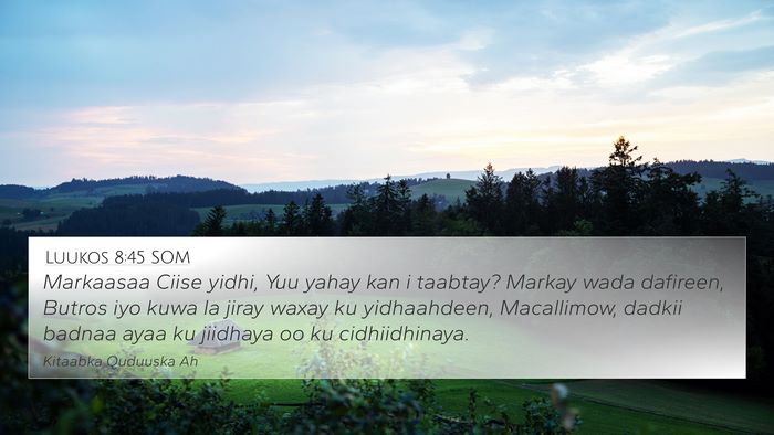 Luukos 8:45 SOM Bible Verse Image