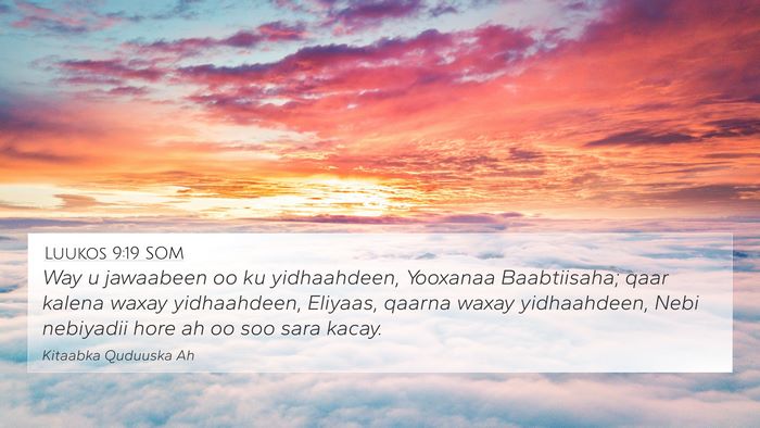 Luukos 9:19 SOM Bible Verse Image