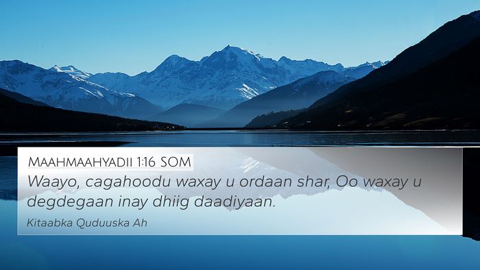 Maahmaahyadii 1:16 SOM Bible Verse Image