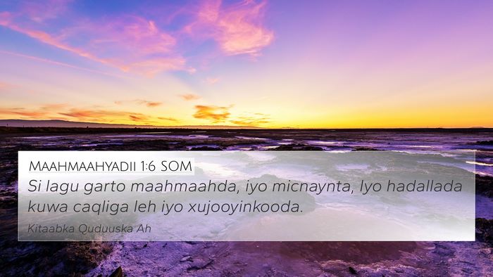 Maahmaahyadii 1:6 SOM Bible Verse Image