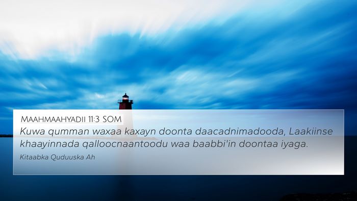Maahmaahyadii 11:3 SOM Bible Verse Image