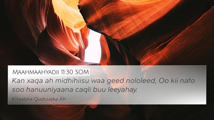 Maahmaahyadii 11:30 SOM Bible Verse Image