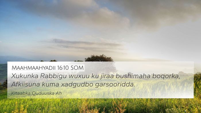 Maahmaahyadii 16:10 SOM Bible Verse Image