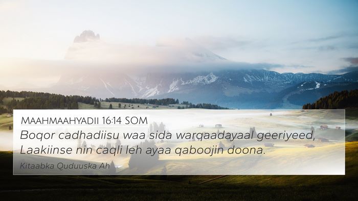 Maahmaahyadii 16:14 SOM Bible Verse Image