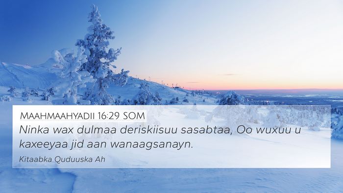 Maahmaahyadii 16:29 SOM Bible Verse Image