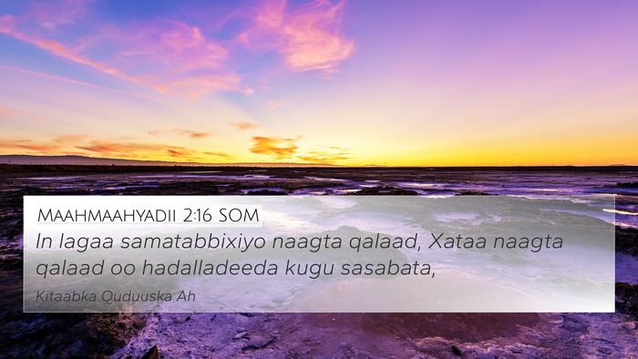 Maahmaahyadii 2:16 SOM Bible Verse Image