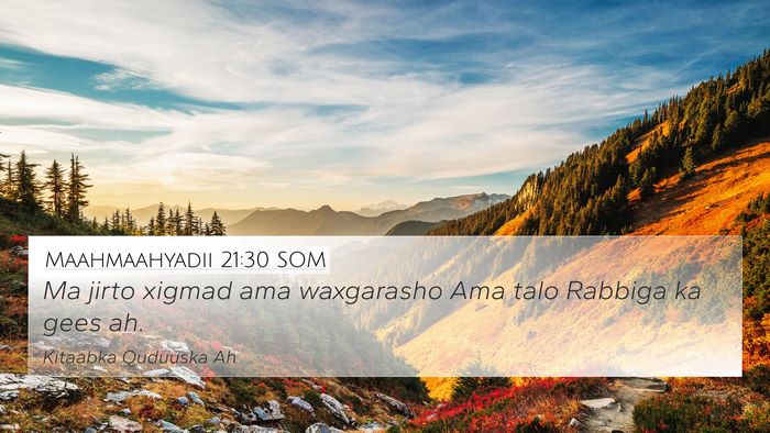 Maahmaahyadii 21:30 SOM Bible Verse Image