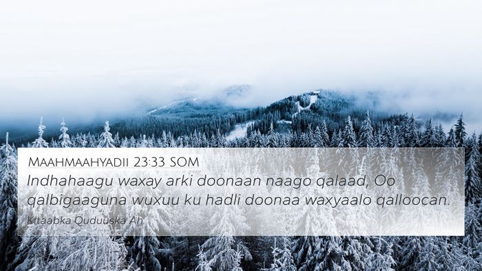 Maahmaahyadii 23:33 SOM Bible Verse Image