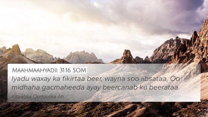 Maahmaahyadii 31:16 SOM Bible Verse Image