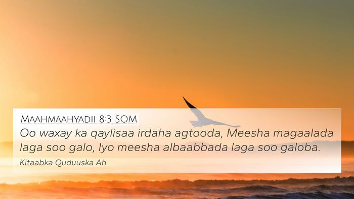 Maahmaahyadii 8:3 SOM 4K Wallpaper - Oo waxay ka qaylisaa irdaha agtooda, Meesha - 4K Wallpaper Bible Verse