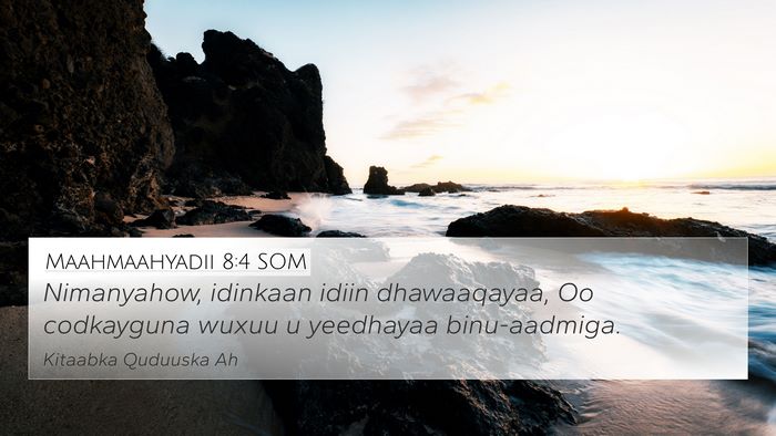 Maahmaahyadii 8:4 SOM Bible Verse Image