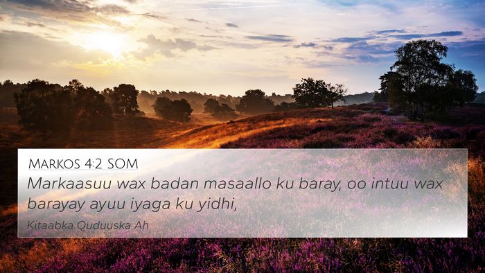 Markos 4:2 SOM Bible Verse Image