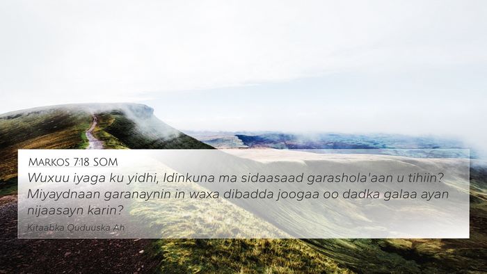 Markos 7:18 SOM Bible Verse Image