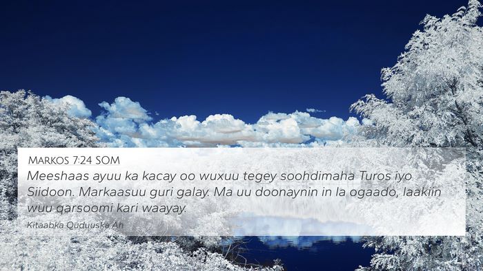 Markos 7:24 SOM 4K Wallpaper - Meeshaas ayuu ka kacay oo wuxuu tegey soohdimaha - 4K Wallpaper Bible Verse