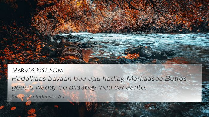 Markos 8:32 SOM 4K Wallpaper - Hadalkaas bayaan buu ugu hadlay. Markaasaa Butros - 4K Wallpaper Bible Verse