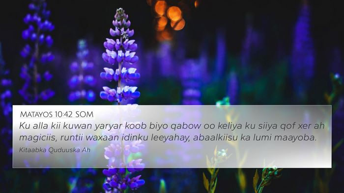 Matayos 10:42 SOM Bible Verse Image