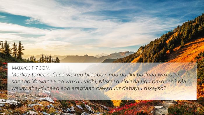 Matayos 11:7 SOM Bible Verse Image