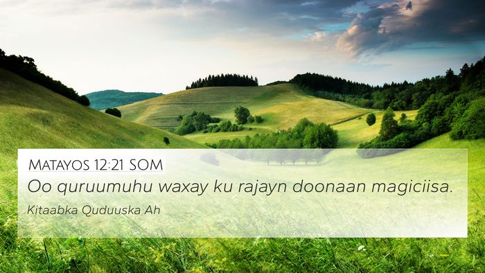 Matayos 12:21 SOM 4K Wallpaper - Oo quruumuhu waxay ku rajayn doonaan - 4K Wallpaper Bible Verse