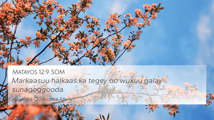 Matayos 12:9 SOM 4K Wallpaper - Markaasuu halkaas ka tegey oo wuxuu galay - 4K Wallpaper Bible Verse