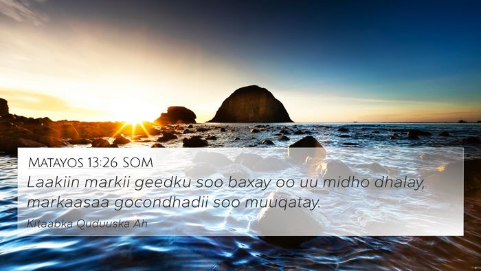 Matayos 13:26 SOM Bible Verse Image