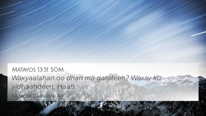 Matayos 13:51 SOM Bible Verse Image