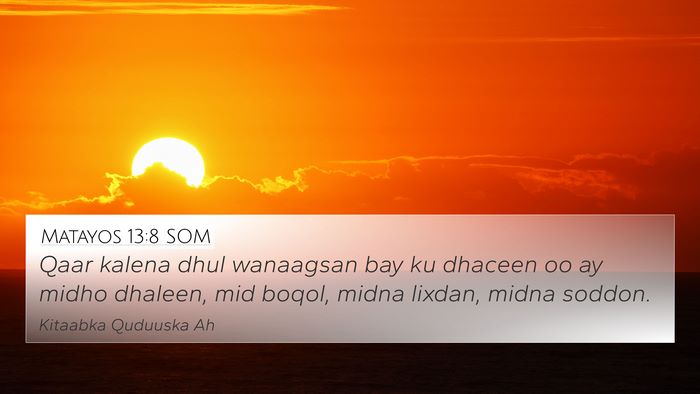 Matayos 13:8 SOM Bible Verse Image