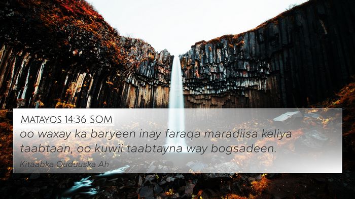 Matayos 14:36 SOM Bible Verse Image
