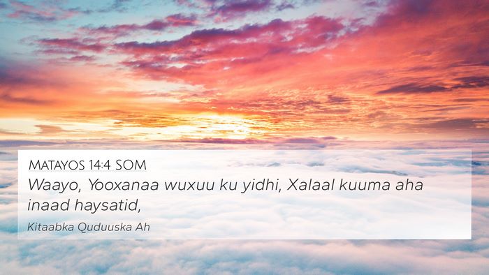 Matayos 14:4 SOM 4K Wallpaper - Waayo, Yooxanaa wuxuu ku yidhi, Xalaal kuuma aha - 4K Wallpaper Bible Verse