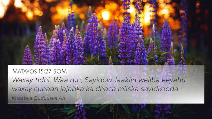 Matayos 15:27 SOM 4K Wallpaper - Waxay tidhi, Waa run, Sayidow, laakiin weliba - 4K Wallpaper Bible Verse